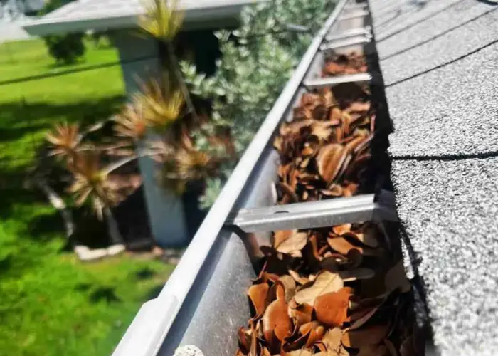 Druid Hills gutter cleaning home page